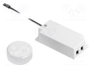 Touch switch; white; 12VDC GTV Poland