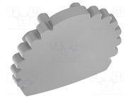 Cap for LED profiles; silver; 10pcs. GTV Poland