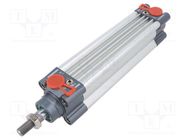 Profile cylinder; Piston diam: 12mm; Piston stroke: 100mm PNEUMAT