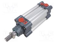 Profile cylinder; Piston diam: 20mm; Piston stroke: 50mm; 1÷10bar PNEUMAT