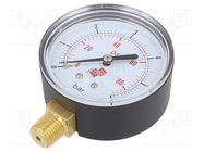 Manometer; 0÷6bar; non-aggressive liquids,inert gases; 63mm PNEUMAT