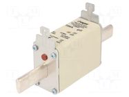 Fuse: fuse; 100A; 500VAC; gG; industrial; NH1C HAGER