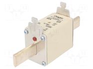 Fuse: fuse; 80A; 500VAC; gG; industrial; NH2 HAGER