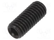 Screw; M5x12; 0.8; Head: without head; hex key; HEX 2,5mm; steel BOSSARD