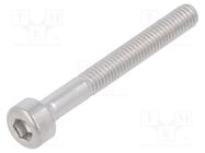 Screw; M3x25; 0.5; Head: cheese head; hex key; HEX 2,5mm; DIN 912 KRAFTBERG