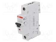 Circuit breaker; 230/400VAC; Inom: 6A; Poles: 1; Charact: C; 10kA ABB