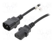 Cable; IEC C13 female,IEC C14 male; PVC; 5m; black; 10A; 250V 