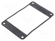 Accessory:  EPIC H-B 32 FLAT GASKET LAPP