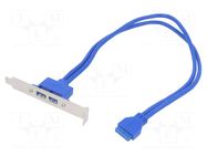 Adapter; IDE 20pin female,USB A socket x2; 0.4m; USB 3.0 AKYGA