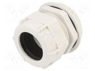 Cable gland; PG42; IP68; polyamide; light grey BM GROUP