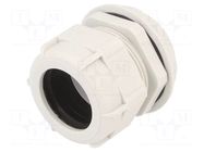 Cable gland; PG42; IP68; polyamide; light grey BM GROUP