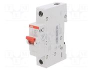 Switch-disconnector; Poles: 1; for DIN rail mounting; 32A; 240VAC 