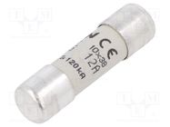 Fuse: fuse; gG,time-lag; 12A; 500VAC; 250VDC; 10x38mm MERSEN