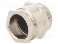 Cable gland; G3/4"; IP54; brass; 17÷19mm BM GROUP