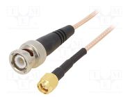 Cable; 0.3m; BNC male,SMA male; shielded; transparent; straight MUELLER ELECTRIC