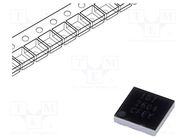 IC: driver; haptic motor controller; I2C,PWM; DSBGA9; 5.5V; Ch: 1 