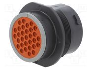 Connector: circular; socket,plug; male; HDP20; PIN: 21(4+17) DEUTSCH