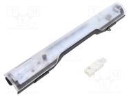 LED lamp; IP20; 12÷48VDC; 6W; 600lm; 5000K; clip,magnet; -30÷55°C 