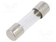 Fuse: fuse; time-lag; 315mA; 250VAC; cylindrical,glass; 5x20mm BEL FUSE