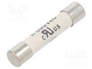 Fuse: fuse; time-lag; 10A; 500VAC; 400VDC; ceramic,cylindrical SCHURTER