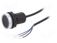 Switch: capacitive; 22mm; Lead length: 1m; 10÷30VDC; OUT: PNP / NO EMAS