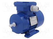 Motor: AC; 3-phase; 0.12kW; 230/400VAC; 2800rpm; IP54; -30÷60°C 