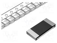 Resistor: thick film; SMD; 0201; 100Ω; 50mW; ±1%; -55÷155°C PANASONIC