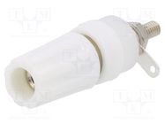 Connector: 4mm banana; socket; 15A; 250VDC; L: 45mm; white; on panel CLIFF