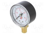 Manometer; 0÷6bar; non-aggressive liquids,inert gases; 40mm 