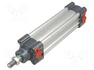 Profile cylinder; Piston diam: 16mm; Piston stroke: 100mm PNEUMAT