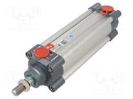 Profile cylinder; Piston diam: 20mm; Piston stroke: 125mm PNEUMAT