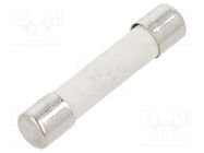 Fuse: fuse; time-lag; 10A; 250VAC; cylindrical,glass; brass; GSA BEL FUSE