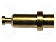 Connector: 3mm banana; socket; 5A; 1.5kVDC; gold-plated; on panel MUELLER ELECTRIC