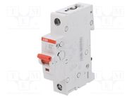 Switch-disconnector; Poles: 1; for DIN rail mounting; 50A; 253VAC 