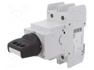 Switch-disconnector; for DIN rail mounting; 125A; IP20; -25÷40°C EATON ELECTRIC