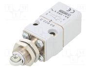 Limit switch; metal roller Ø11mm; SPDT; 5A; max.250VAC; IP55 CROUZET