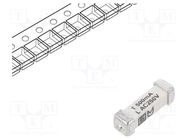 Fuse: fuse; time-lag; 500mA; 250VAC; 125VDC; SMD; ceramic; 3x10.1mm SCHURTER