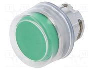 Switch: push-button; 22mm; Stabl.pos: 1; green; none; IP66; Pos: 2 SCHNEIDER ELECTRIC