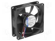 Fan: DC; axial; 12VDC; 80x80x25mm; 79m3/h; 37dBA; ball; 3600rpm EBM-PAPST