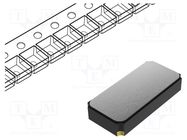 Resonator: quartz; 32.768kHz; ±20ppm; 6pF; SMD; 3.2x1.5x0.9mm QST