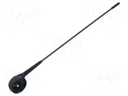Antenna; car top,automotive; 0.395m; Fiat PER.PIC.