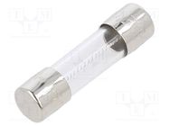 Fuse: fuse; medium time-lag; 315mA; 250VAC; cylindrical,glass SCHURTER