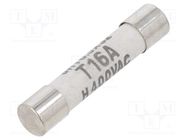 Fuse: fuse; time-lag; 16A; 400VAC; 400VDC; ceramic,cylindrical SCHURTER