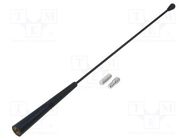 Antenna mast; 280mm; M5,M6; inside; Ford,Peugeot,Renault; black PER.PIC.