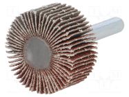 Grinding pin; Granularity: 80; Holder: plunger; 6mm; flap PG PROFESSIONAL