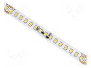 LED tape; white warm; 2835; LED/m: 150; 10mm; white PCB; IP20; 120° IPIXEL LED