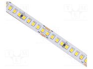 LED tape; white cold; 2835; LED/m: 180; 10mm; white PCB; IP20; 120° IPIXEL LED