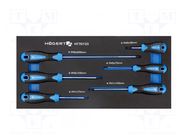In a foam tray; 6pcs; Screwdriver: universal-set HÖGERT TECHNIK
