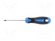 Screwdriver; Phillips; PH0; 75mm HÖGERT TECHNIK