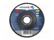 Flap grinding wheels; Ø: 125mm; Øhole: 22.4mm; Granularity: 36 HÖGERT TECHNIK